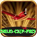 2019 world cup - VIP Master