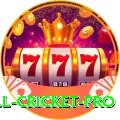 all cricket - VIP Mega