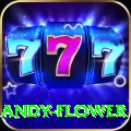 andy flower Turbo Pro v1.0.4