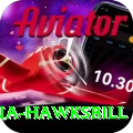 antigua hawksbill Premium Edition v4.2.3