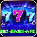 bbl big bash apk Apps (Tools & Injectors) Pro v1.2.2