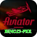 Bingo PKR Apps (Tools & Injectors) Plus v2.0.8
