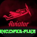 bingopkr Master v5.5.3