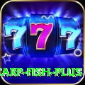 carp fish - Casino Supreme