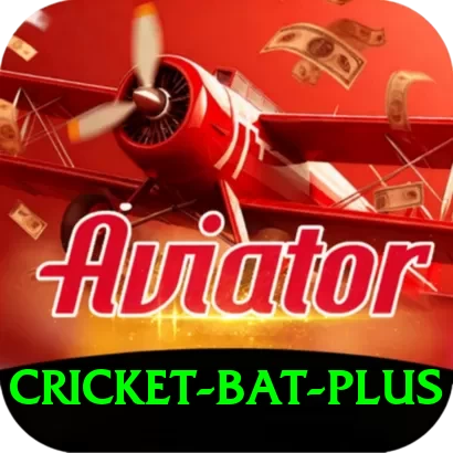 cricket bat King PK v2.6.8 - 2