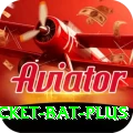 cricket bat King PK v2.6.8