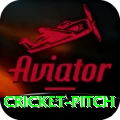 cricket pitch Elite v3.7.2