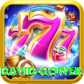 david gower VIP Edition v2.7.7
