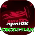 hong kong cricket team Pro Max v1.1.1
