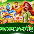 india cricket match Master v1.9.6