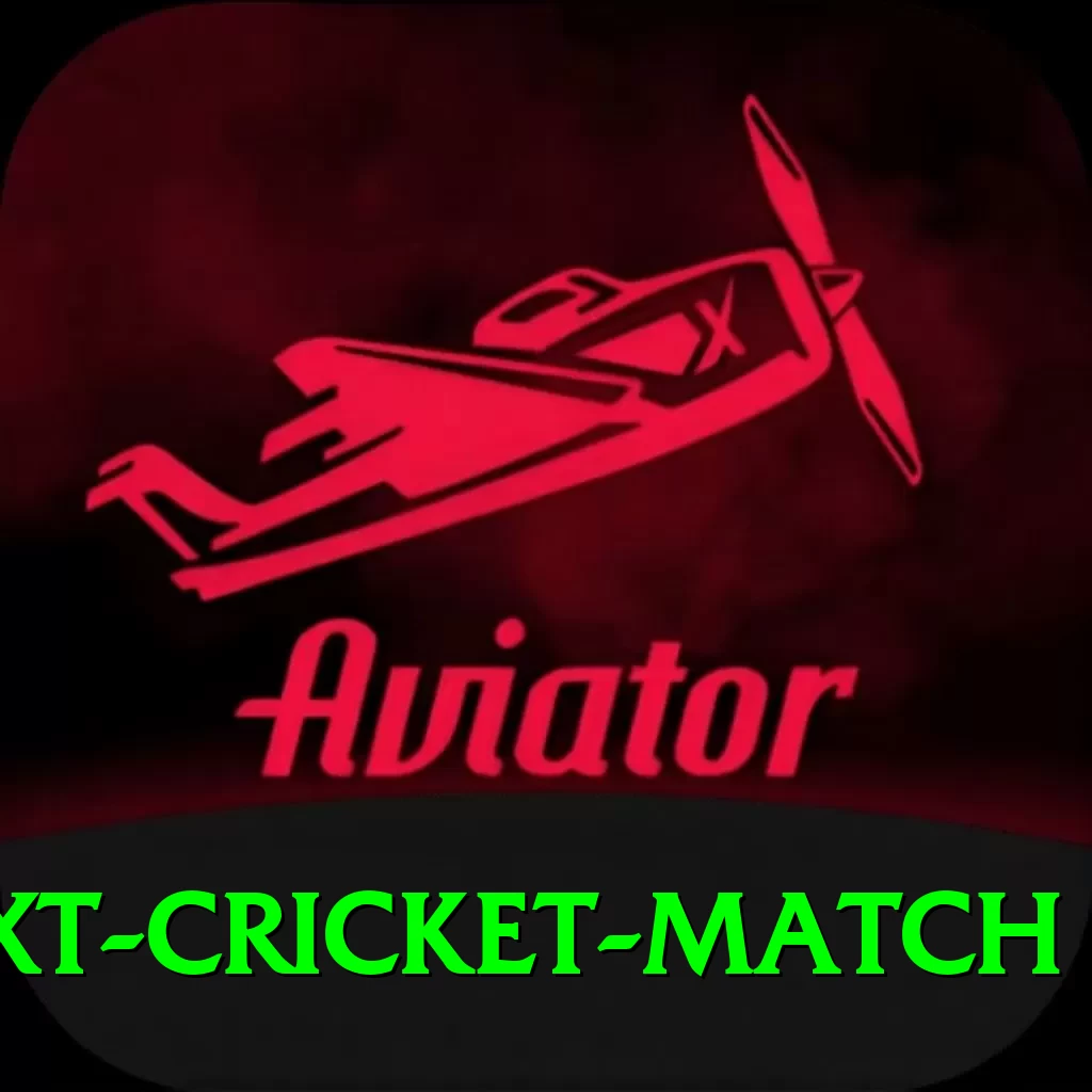 india next cricket match Deluxe Edition v2.5.2 - 2