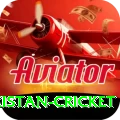 india pakistan cricket VIP Edition v1.5.3