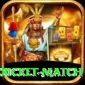 india pakistan cricket match Premium Edition v4.4.8