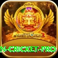 india pakistan cricket Slots Premium v3.0.6