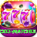 india upcoming cricket matches Pro Max v1.8.0