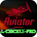 international cricket - Prime Edition v5.5.8