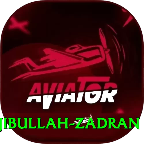 najibullah zadran Max v5.1.1 - 2