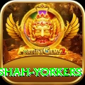 naseem shah yorkers Games (Casino & Earning) VIP v2.6.5