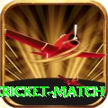 next cricket match Deluxe Pro v2.9.9