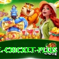 one cricket Pakistan Master v2.7.5