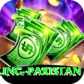 responsible gambling pakistan Max v3.7.8