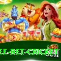 risk free bet cricket Apps (Tools & Injectors) Elite v1.5.4