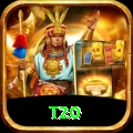 t20 Pro v2.0.3