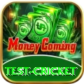 test cricket Deluxe Pro v2.3.3