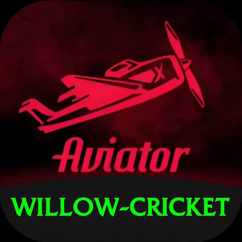 willow cricket Plus Edition v4.0.2 - 2