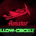 willow cricket Plus Edition v4.0.2